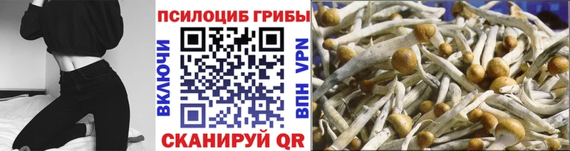 Псилоцибиновые грибы ЛСД  Дальнегорск 